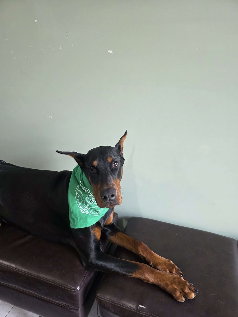 Bandana
